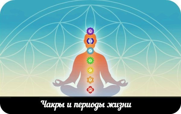 ЧАКРЫ И ПЕРИОДЫ ЖИЗНИ.Существует ведическая наука о возрастах человека, называемая чакравидья. Весь ...