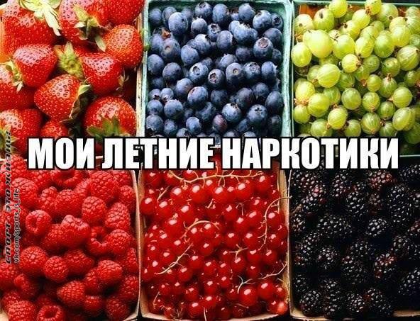  -   - 1  2015  14:31