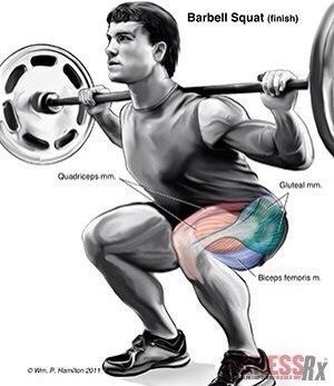  . #training@sportfeed - 7
