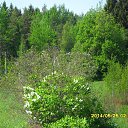 ���� �����, �����, 61 ��� - ��������� 4 ���� 2015 � ������ ���� ����������