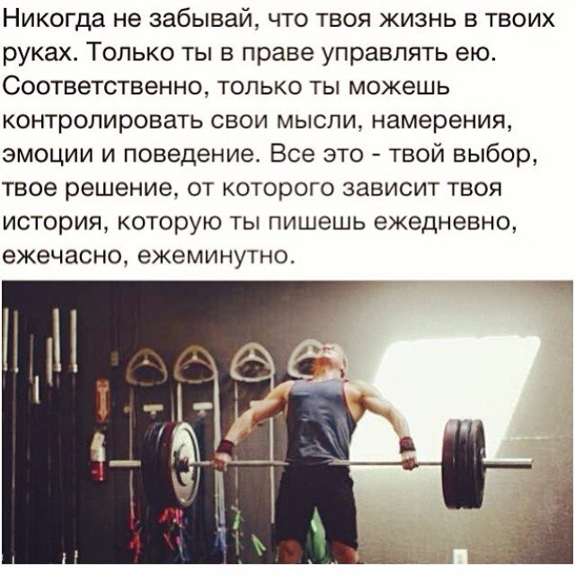 SportFeed - 3  2015  13:05