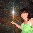 ���� �������, ����-���, 57 ��� - ��������� 10 �������� 2015