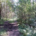 ���� �����, ������, 54 ���� - ��������� 19 �������� 2015 � ������ ��������