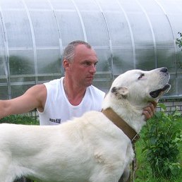 ����, ������