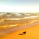 ���� Zoja, ������, 62 ���� - ��������� 14 ���� 2015 � ������ ���� ����������