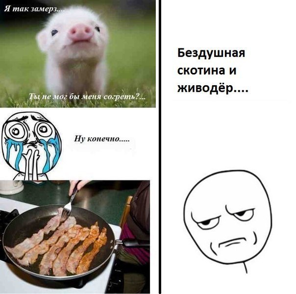 ? ,  ! - 9  2015  02:54