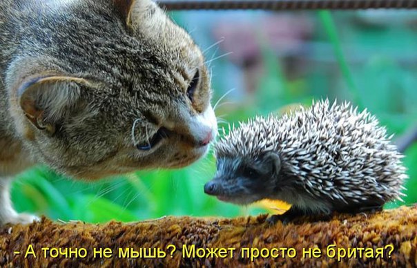       - 9  2015  12:02