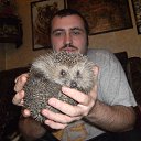 ���� ����, ������, 43 ���� - ��������� 27 ������� 2015