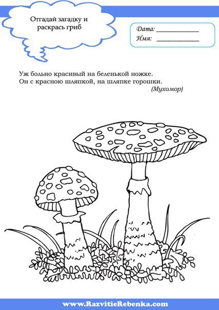 Раскраски грибы - Для печати - Kids Drawing Hub