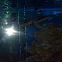 ���� ���������, �����, 27 ��� - ��������� 14 ���� 2015 � ������ ���� ����������