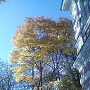  ir@ge))) ))), , 47  -  22  2015    