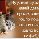  ,  -  10  2015    