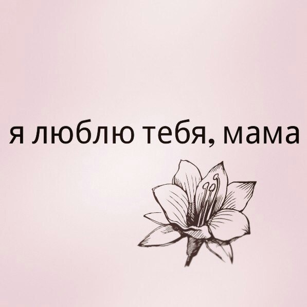   -  ,  -  - 6  2015  08:08