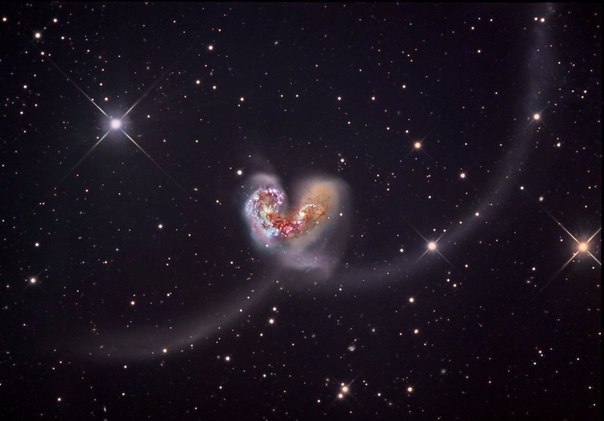       NGC 4038  NGC 4039.