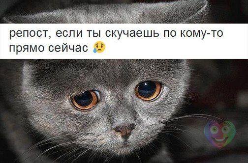 �������� ����! - 12 ������� 2015 � 19:18