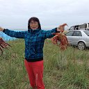  ,  -  22  2015      ( 2015)