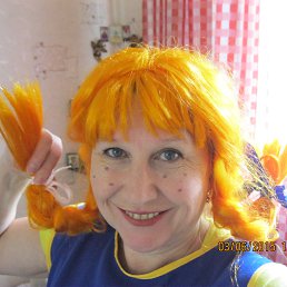 ���� ����, ����������, 66 ��� - ��������� 16 ���� 2015