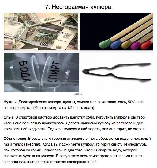 Как нужно приобщать детей к науке? У нас на кухне хранится много вещей, с которыми можно ставить ... - 7