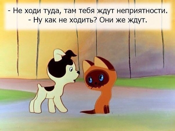  - 6  2015  08:57