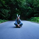 ���� �����, �����������, 41 ��� - ��������� 10 ���� 2015 � ������ ���� ����������