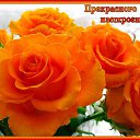 ���� ��������, ������, 57 ��� - ��������� 12 ���� 2015 � ������ ���� ����������