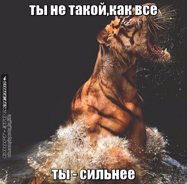  -   - 5  2015  09:52