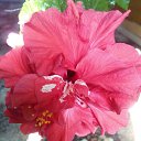 ���� ���������, �����, 85 ��� - ��������� 22 ��� 2015 � ������ ������ ��������