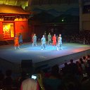  Kookarra, , 26  -  6  2015    