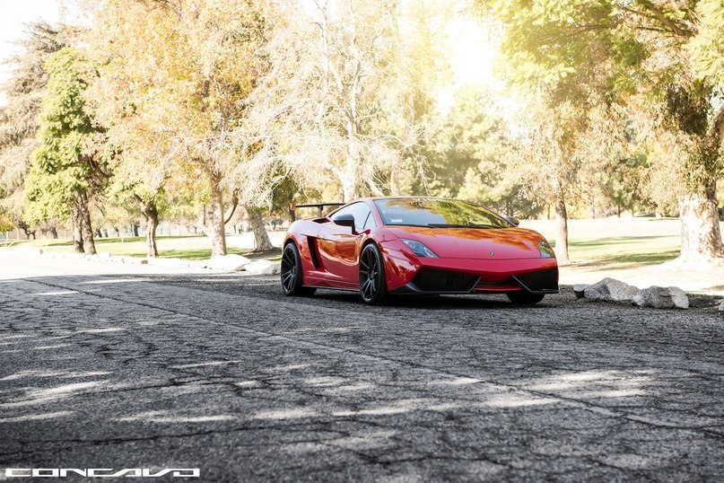 Lamborghini Gallardo Super Trofeo.