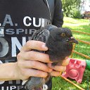 ���� ����, ������������, 28 ��� - ��������� 13 ������� 2015 � ������ ���� ����������