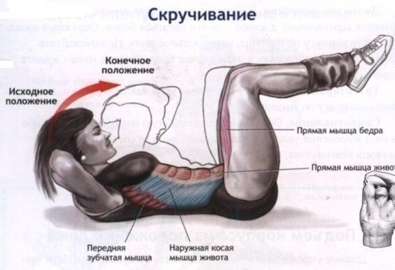 Плоский живот. 1. Качать пресс Цепляйся ногами за батарею или за нижнюю часть дивана, руки за голову ...