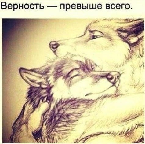   |  |  - 26  2015  16:41