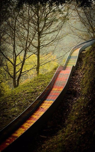      ,     .#nature@travel.blog