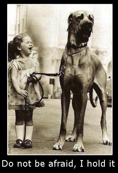  | English for everyone - 29  2015  14:45