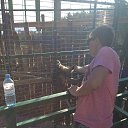 ���� Ҹ��, ������, 31 ��� - ��������� 25 ������� 2015 � ������ �������