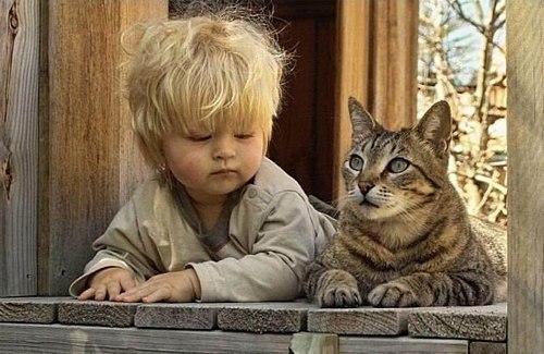 ЛЮБИТЕ КОШЕК.Любите кошекбеззаветноЗа красоту и просто так,За то, что в человекаверят,Разуверяться ...