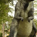  , , 60  -  23  2015     !