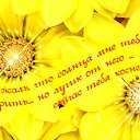 ���� �������, �������������-����������, 62 ���� - ��������� 8 �������� 2015 � ������ �������� ��������