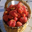 ���� �������, �������, 58 ��� - ��������� 24 ���� 2015 � ������ ������ ��������