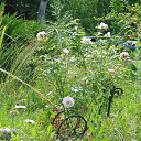 ���� ������, ������ - ��������� 6 ���� 2015 � ������ ���� ����������