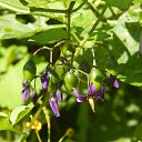 ���� ����, �����-���������, 57 ��� - ��������� 26 ������� 2015 � ������ ��������