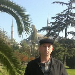 ����, ��������