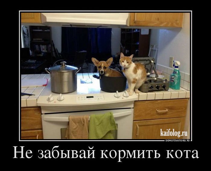 ����� - 13 ���� 2015 � 16:16