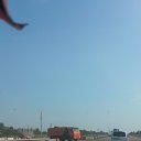 ���� ������, ��������, 26 ��� - ��������� 21 ���� 2015 � ������ ������ ��������