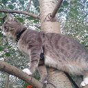  ♥♥, - -  18  2015    