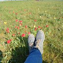 ���� Lena, ������������ - ��������� 30 ������ 2015 � ������ ����������
