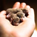 ���� ������, ��������, 53 ���� - ��������� 1 ��� 2015 � ������ ������ ��������