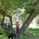 ���� ����, ����������, 64 ���� - ��������� 19 ��� 2015 � ������ ���������