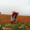  , , 46  -  11  2015   ,  !