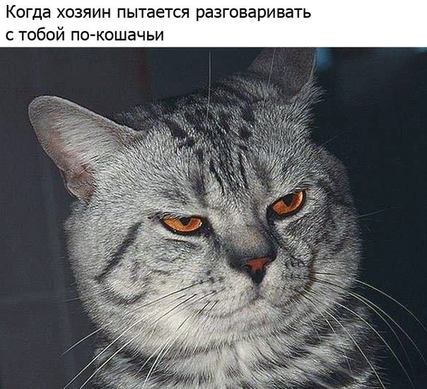 - - 27  2015  18:20